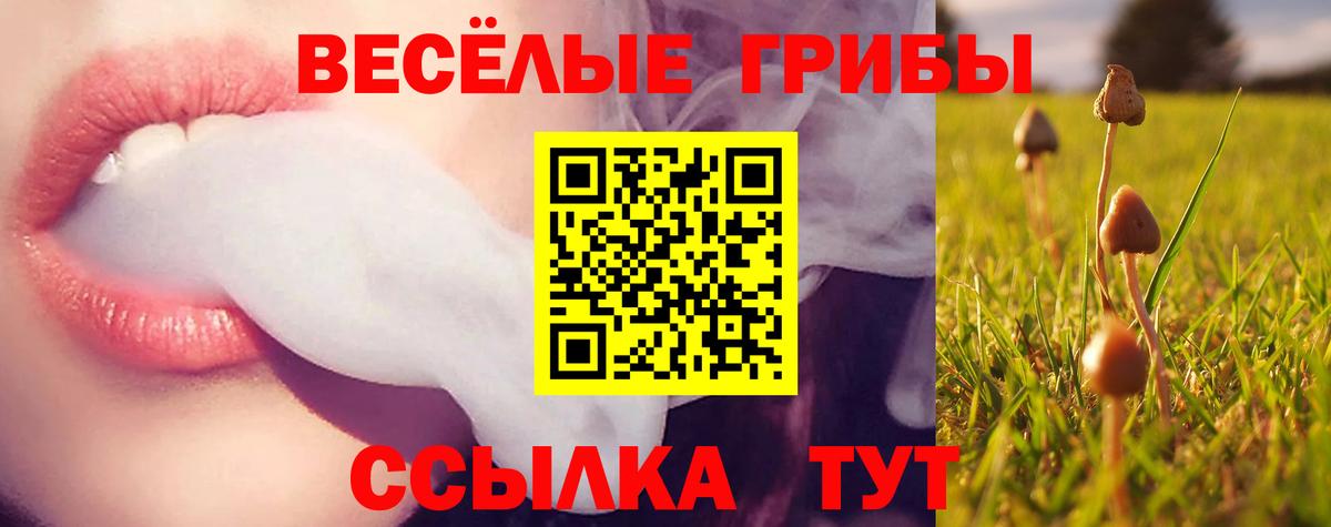 Галлюциногенные грибы MAGIC MUSHROOMS Ачинск